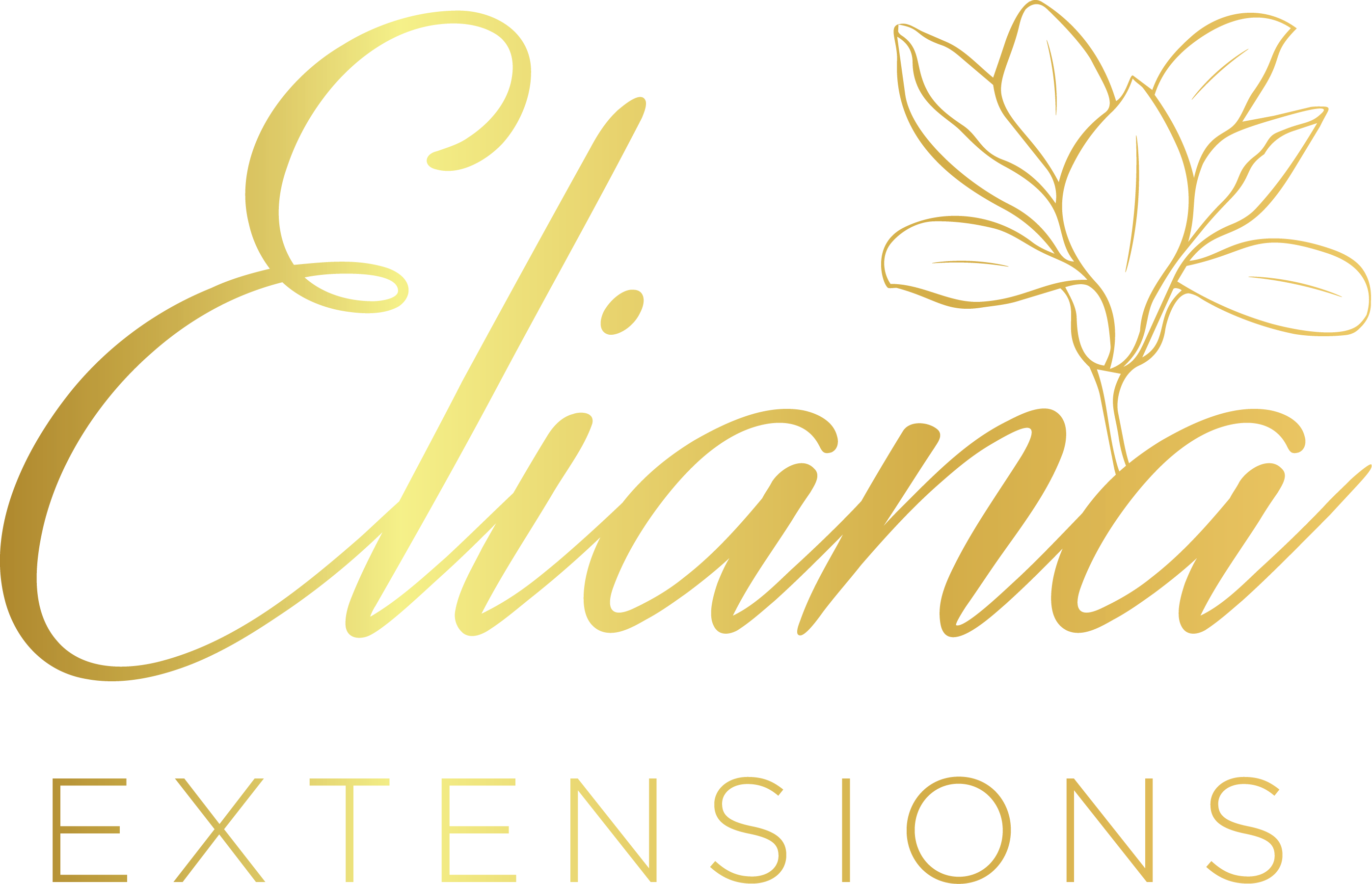 Eliana Extensions Gift card